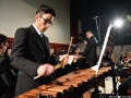 14 Concerto di Capodanno 2015 - ACM